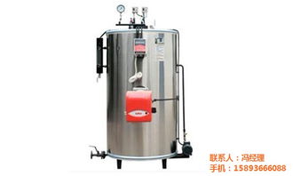 蒸汽鍋爐 蒸汽鍋爐哪個牌子好 蒸汽鍋爐在線報價 優(yōu)質(zhì)商家