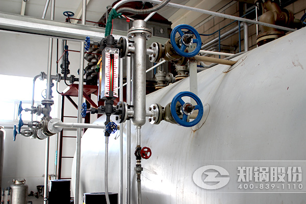 WN S10-1.0-Q 燃?xì)庹羝仩t價格及選購指南